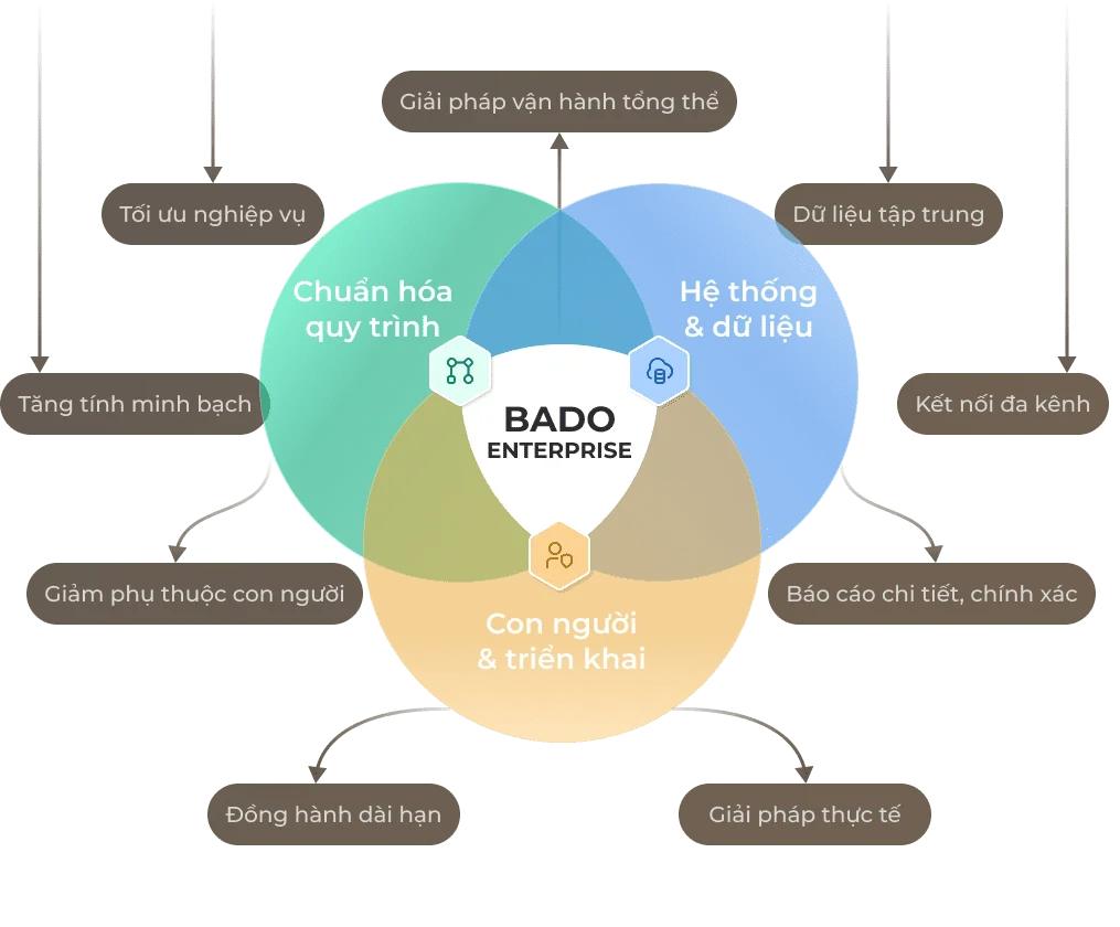 Bado Enterprise Diagram