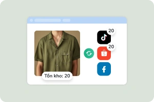 Hình ảnh Dongbo 18
