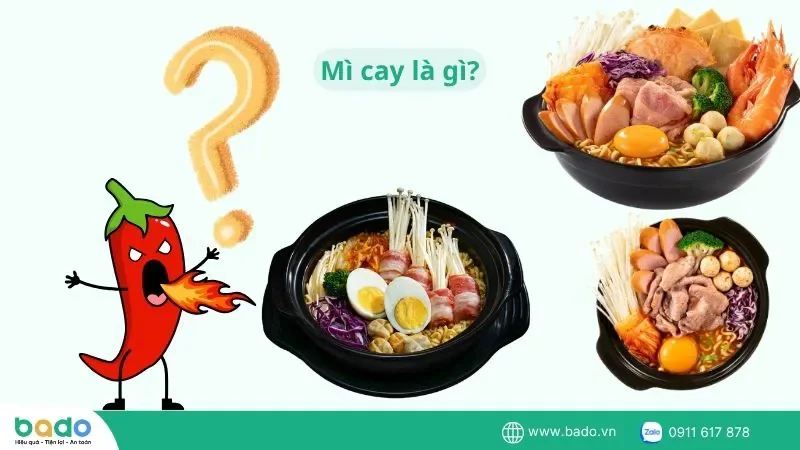 mi-cay-la-gi