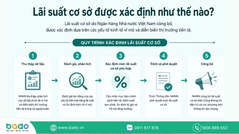 lai-suat-co-so-la-gi-xac-dinh .png