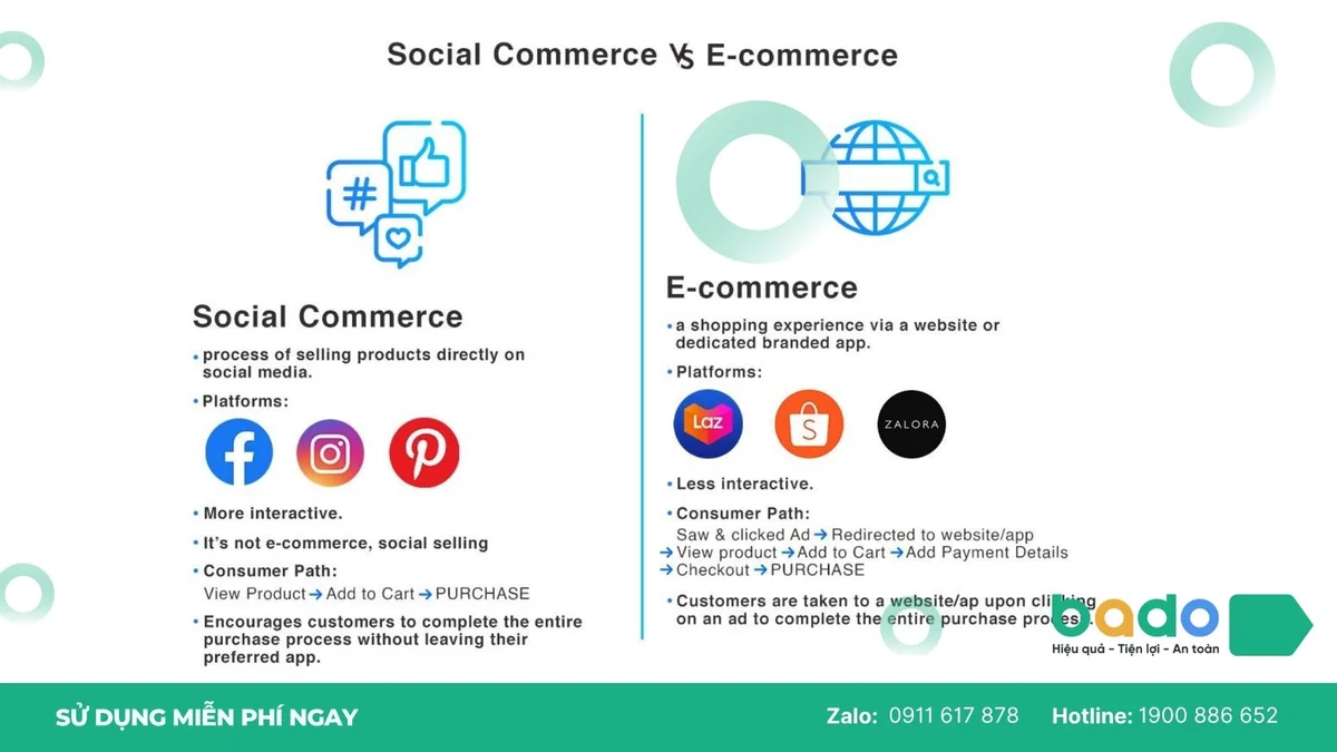 Đ&acirc;y l&agrave; nh&oacute;m nền tảng phổ biến nhất với người mới.jpg
