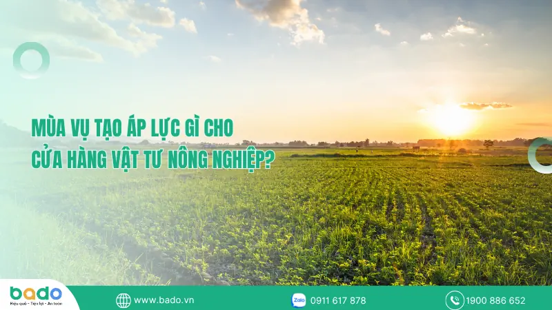 mua-vu-lua-dong-thap.png