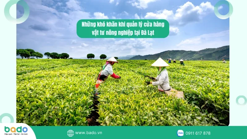 thuc-trang-nong-nghiep-da-lat.png