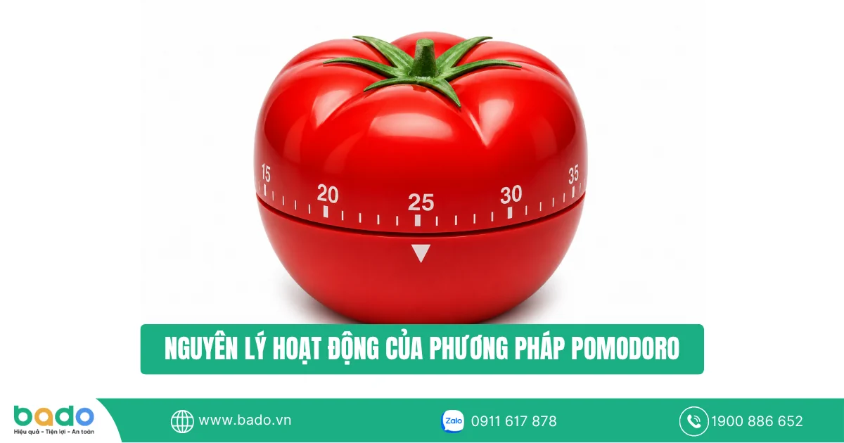 nguyen-ly-hoat-dong-cua-phuong-phap-pomodora.png