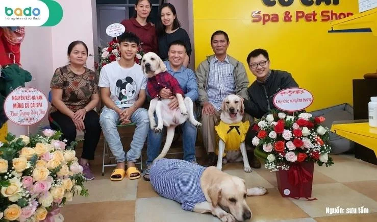 y tuong khai truong khuyen mai cho nganh thu cung.jfif