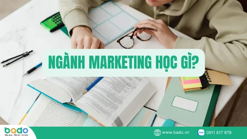 Ngành Marketing học gì?