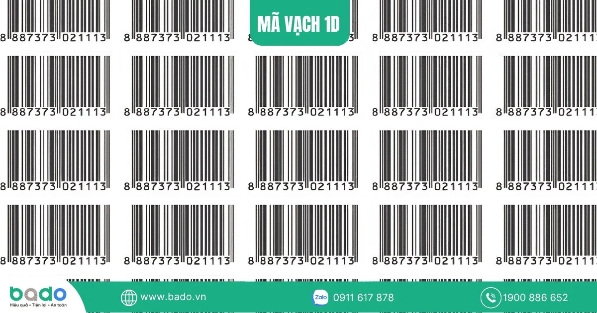 ma-vach-1D.jpg
