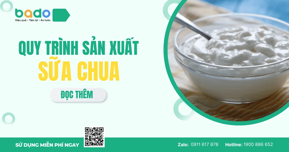 Quy Trình Sản Xuất Sữa Chua – Từ Trang Trại