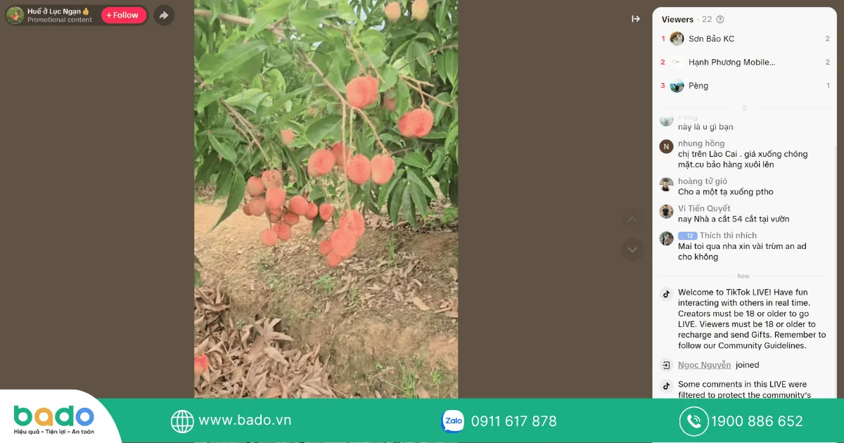 livestream-ban-vai-thieu-luc-ngan.png