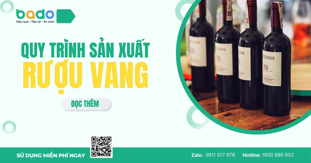 Quy Trình Sản Xuất Rượu Vang Chi Tiết Từ A Đến Z