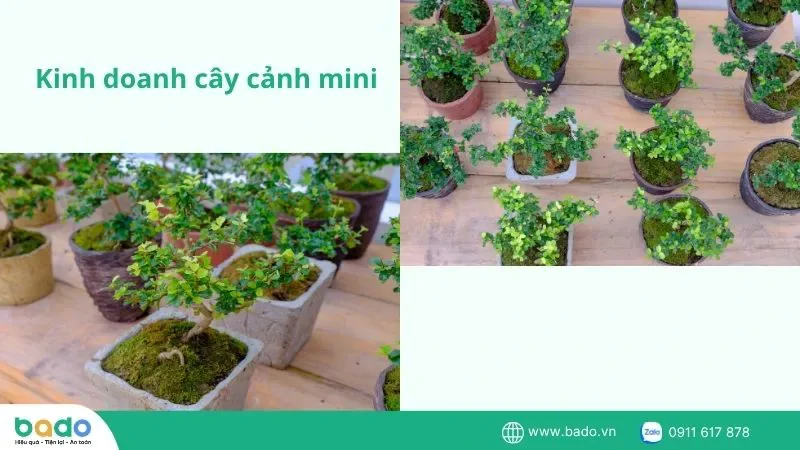 kinh-doanh-b2b-trong-mot-ngach-cu-the