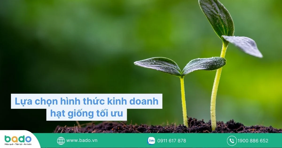 Lựa chọn hình thức kinh doanh hạt giống tối ưu.jpg