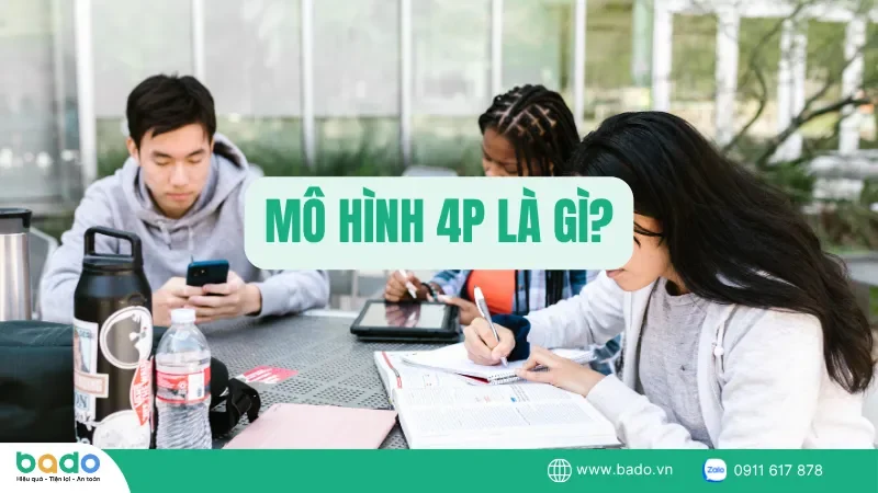 4p-la-gi.png