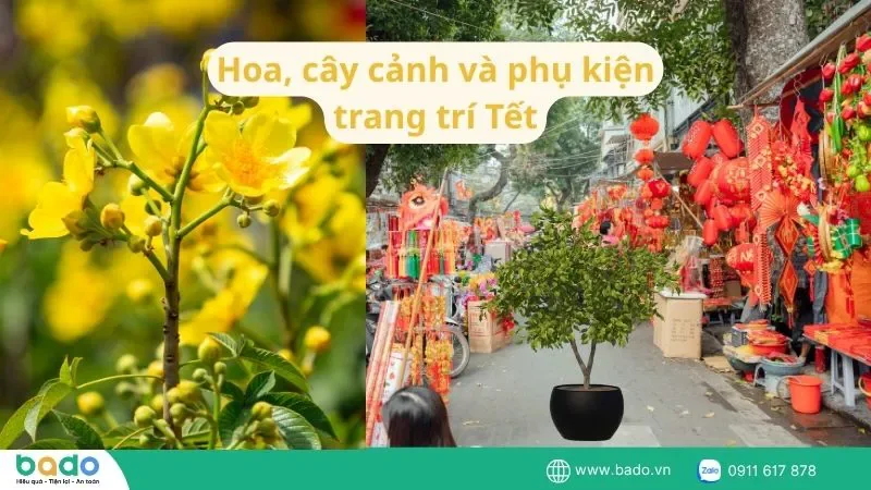 hoa-cay-canh-va-phu-kien-trang-tri-tet