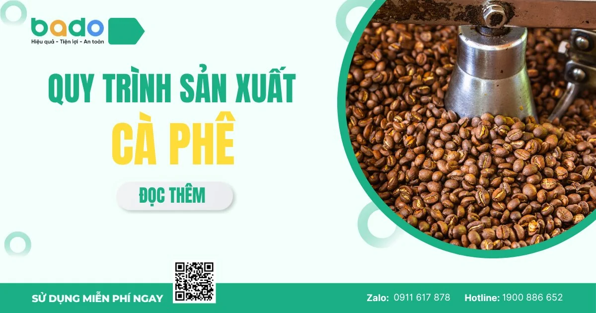 Quy Trình Sản Xuất Cà Phê Từ A–Z: Từ Hạt Giống Đến Ly Cà Phê