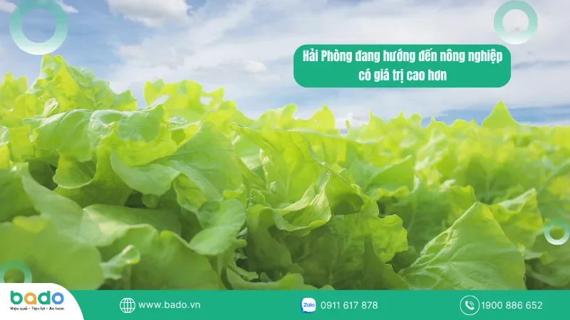 phan-mem-vat-tu-nong-nghiep.png