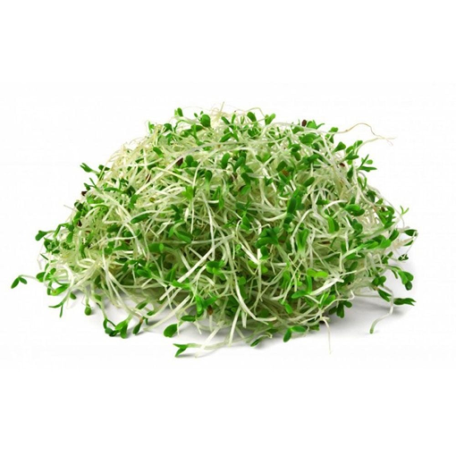 Rau mầm cải ngọt 100g Hộp