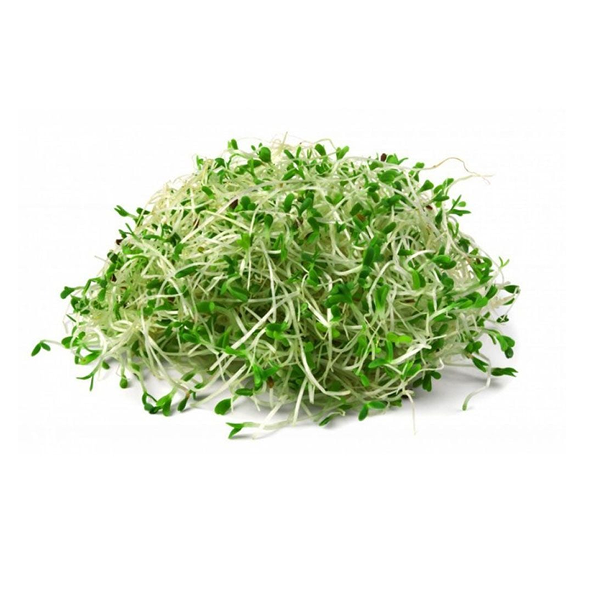 Rau mầm cải ngọt 100g Hộp
