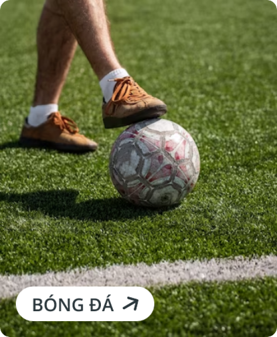 Bộ môn thể thao
